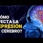 El impacto de la depresión en el cerebro: descubre qué sucede